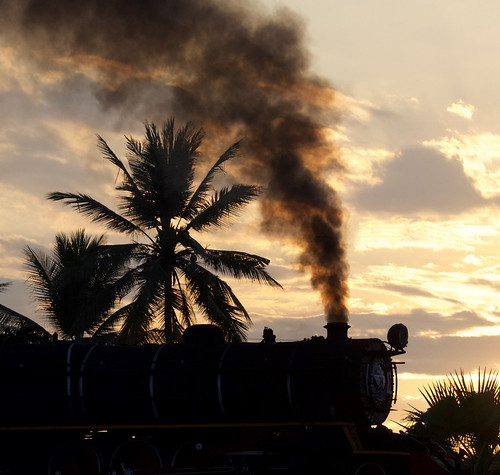 burma myanmar asia sunset railway railroad rail br train steam engine locomotive transportation yd 282 967 palm tree silhouette smoke gassteam trains railways farrail fareast january 2018