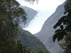 Glaciar Fox. Isla Sur. Nueva Zelanda