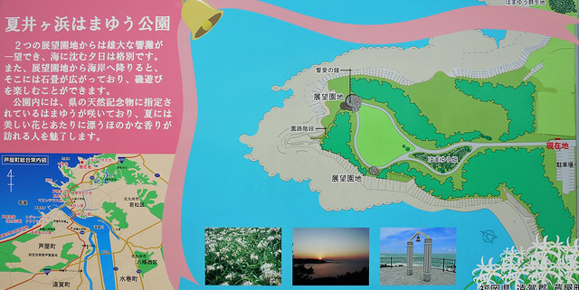 夏井ヶ浜はまゆう公園①