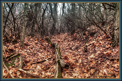 nature forest photoshop canon scott eos woods state michigan bare branches trails holly trail area recreation hdr tangled smithson colorburn photomatix michiganstateparks michiganstatepark tangledbranches michiganwinter michiganwoods wildwoodlake hollymichigan woodsinwinter michigannature barewoods hollystaterecreationarea eos7d michiganforest hollystatepark dtwpuck scottsmithson scottelliottsmithson