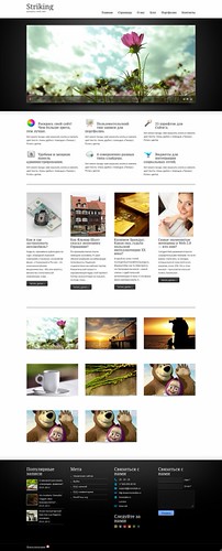 striking_themeforest_screenshot | by praguestudios