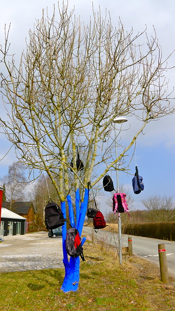 Empty schoolbags are hanging in the trees, waiting for their owners to return to school to normal procedure.