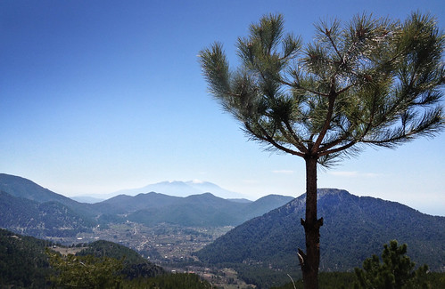 panorama mountains tree view gorgeous clear excellent fethiye nif babadag challengeyouwinner