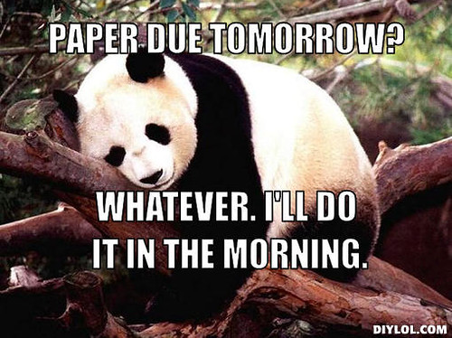 En smule visdom Northern procrastination-panda-meme-generator-paper-due-tomorrow-wh… | Flickr