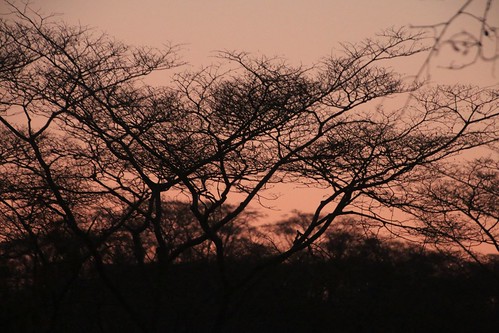 africa southernafrica sunset zimbabwe