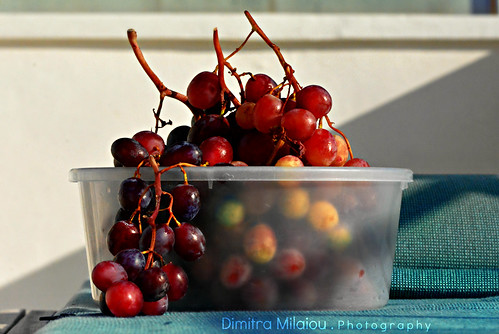 love lovely day light nature life live color colour red blue green white september grapes ball shadows sun sunlight lines shapes pure nikon d greece greek andros island fruit plant food eat texture alive still photography milaiou dimitra cyclades nice happiness happy smile together beautiful taste cut vinery vine dark wonderful 7100 d7100 70210mm f4 ngc sunset afternoon home style living healthy juicy europe reflections foodphotography cook kitchen φαγητο