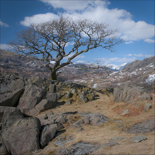 Dunnerdale | by BingleymanPhotos