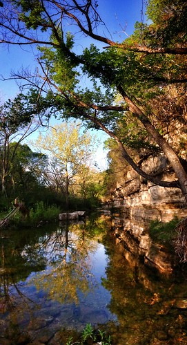 reflection nature austin texas panoramic iphone uploaded:by=flickrmobile flickriosapp:filter=nofilter
