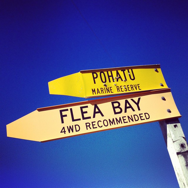 Flea Bay Road Sign, Akaroa, New Zealand