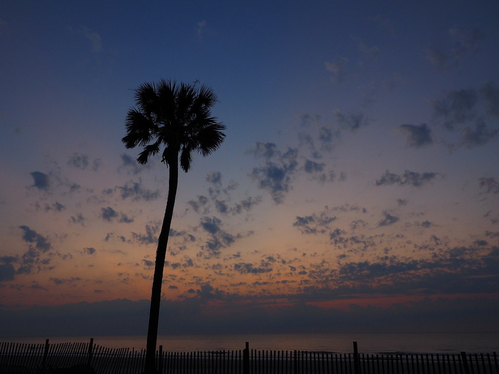 sunrise 091016 | OLYMPUS DIGITAL CAMERA | carlinsc | Flickr