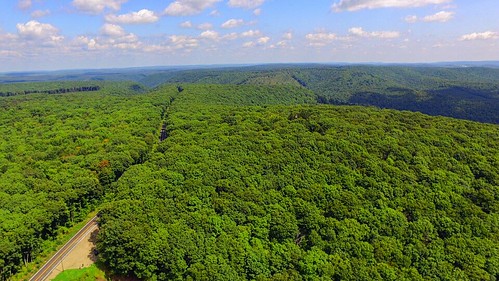 explore adventure travel birdseyeview green trees road forest aerial drone