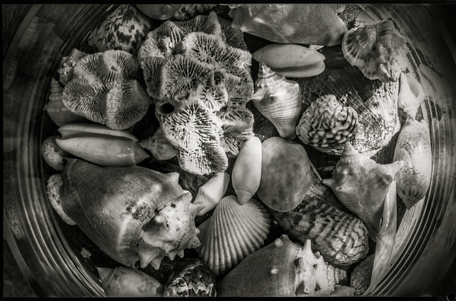Shell collection on old HP4 - 10x15 flatfilm
