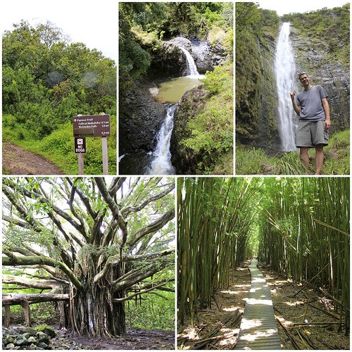 pool hawaii waterfall flora bamboo trail haleakala hawai‘i banyan diptic pipiwai top5hiking deaftalent deafoutsidetalent deafoutdoortalent