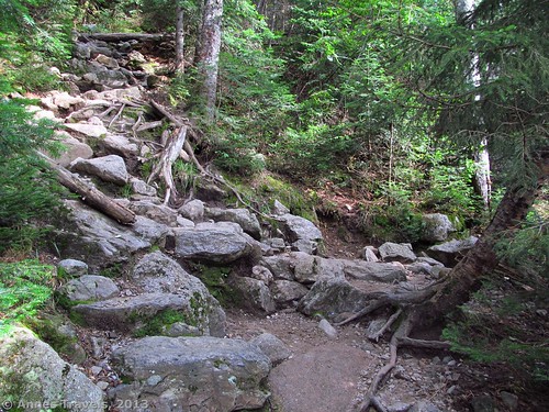 Gorge Trail Junction, White Mountains, New Hampshire