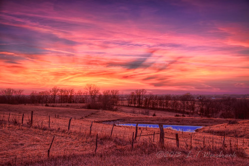 pink winter sunset orange cold countryside pond iowa pastels barbedwirefence frozenpond