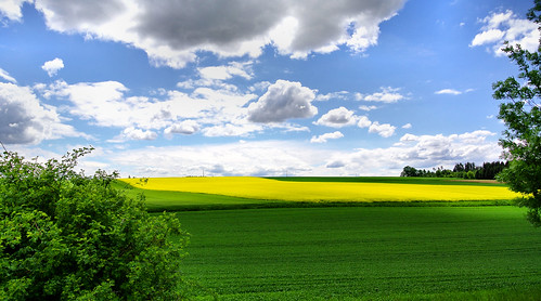 sky green nature clouds bayern deutschland natur felder himmel wolken rape fields grün raps niederbayern nikon1v1