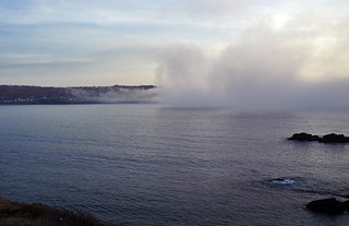 Mist on Bishop's Cove Shore