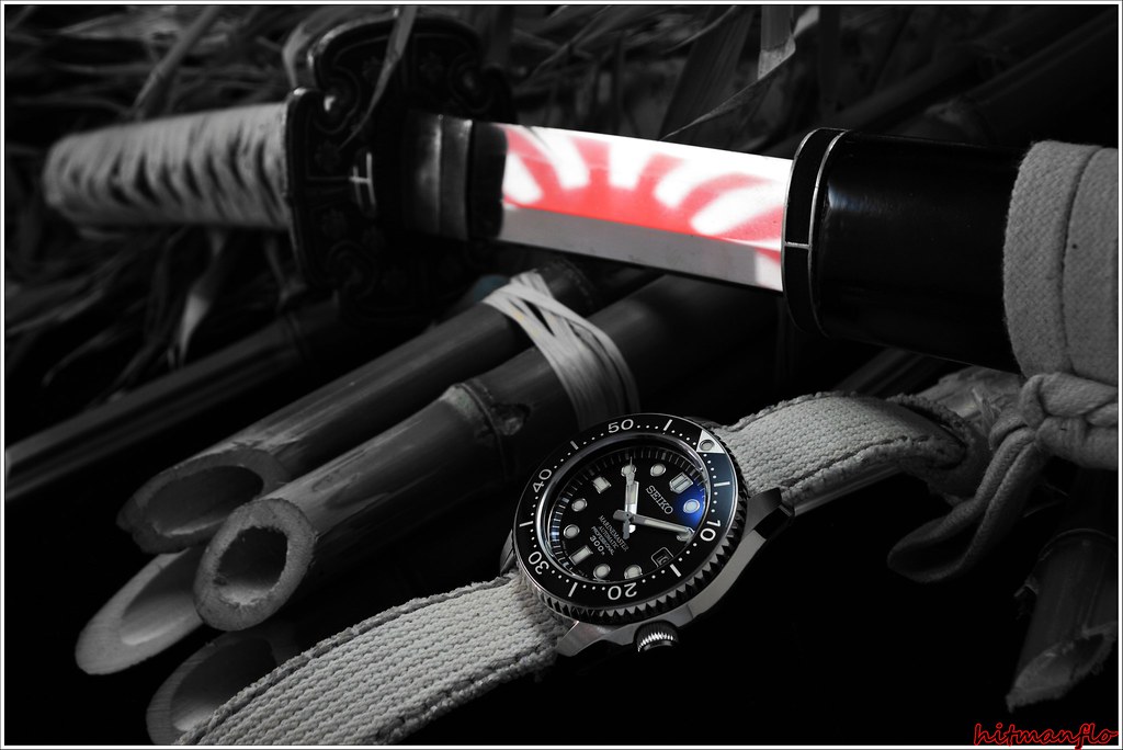 MarineMaster 300 owner's club - tome XXX - Page 10 41503838121_3c8080a97b_b