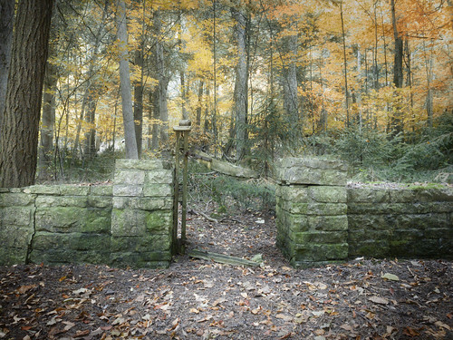 forest gate leaves trees leaf stone wall yellow green fall autumn nature beauty beautiful iphone iphoneography