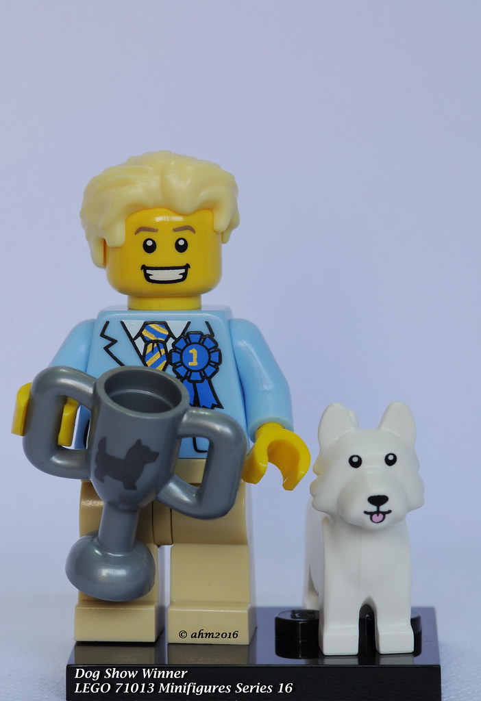 col16-12 NEW LEGO Dog Show Winner Series 16 FROM SET 71013 COLLECTIBLES 