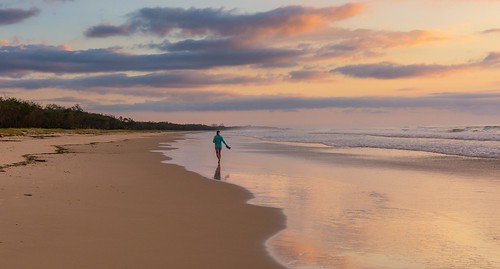 sunrise early morning beach walk alone lone person reflections water ocean surf sea seaside sand dunes golden