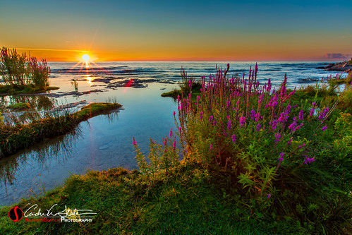 clouds grass greatlakes horizon lakemichigan landscape lilacs moss northpointpark sheboygan sunrise water waves canon wicounties discoverwisconsin travelwisconsin andrewslaterphotography