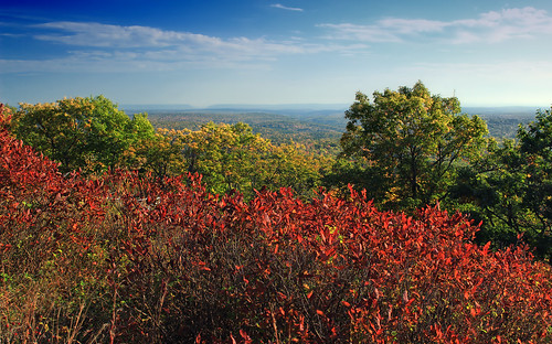 pennsylvania monroecounty gravelfamilynaturepreserve mountwismer mtwismer alleghenyplateau appalachianmountains poconos hiking landscape mountains hills valley blueberry lowbushblueberry vacciniumangustifolium autumn nature creativecommons