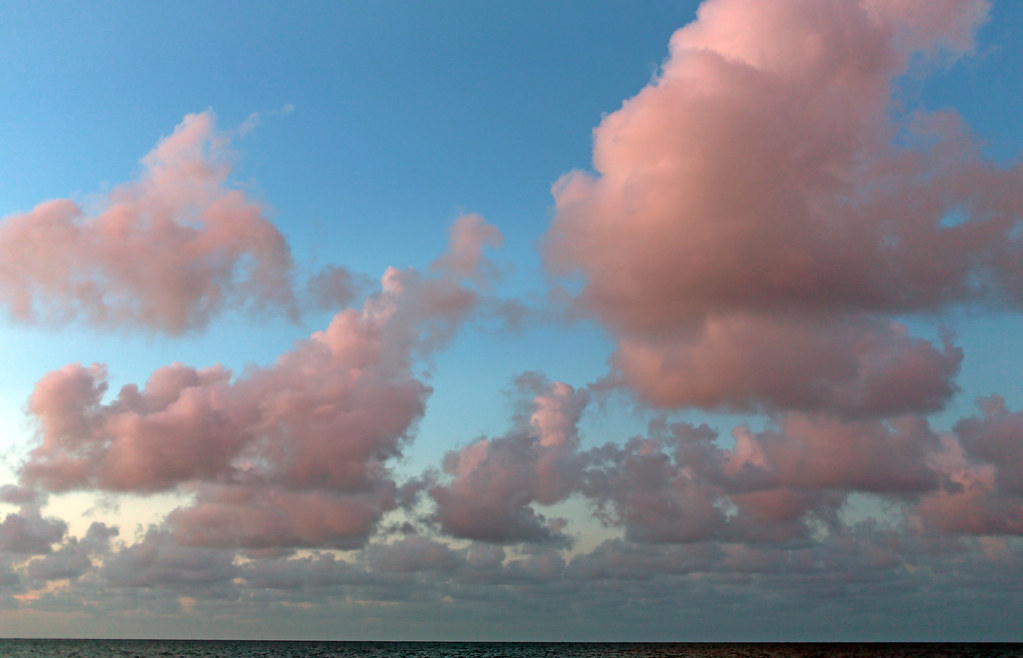Pink  clouds