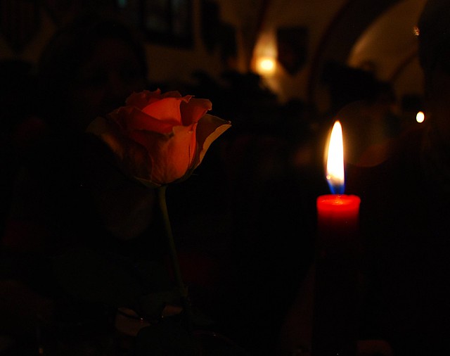 Una luz y una flor. 38º Aniversario. A light and a flower. 38 th Anniversary.