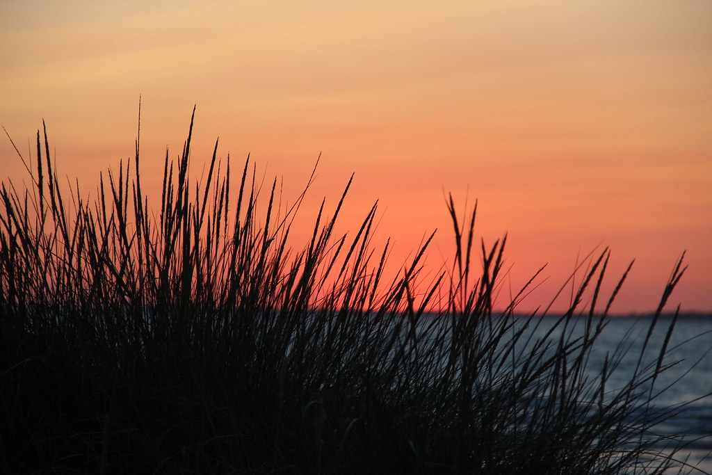 Sunset | some dry grass, a sunset and the beautiful sea! | Tobias | Flickr
