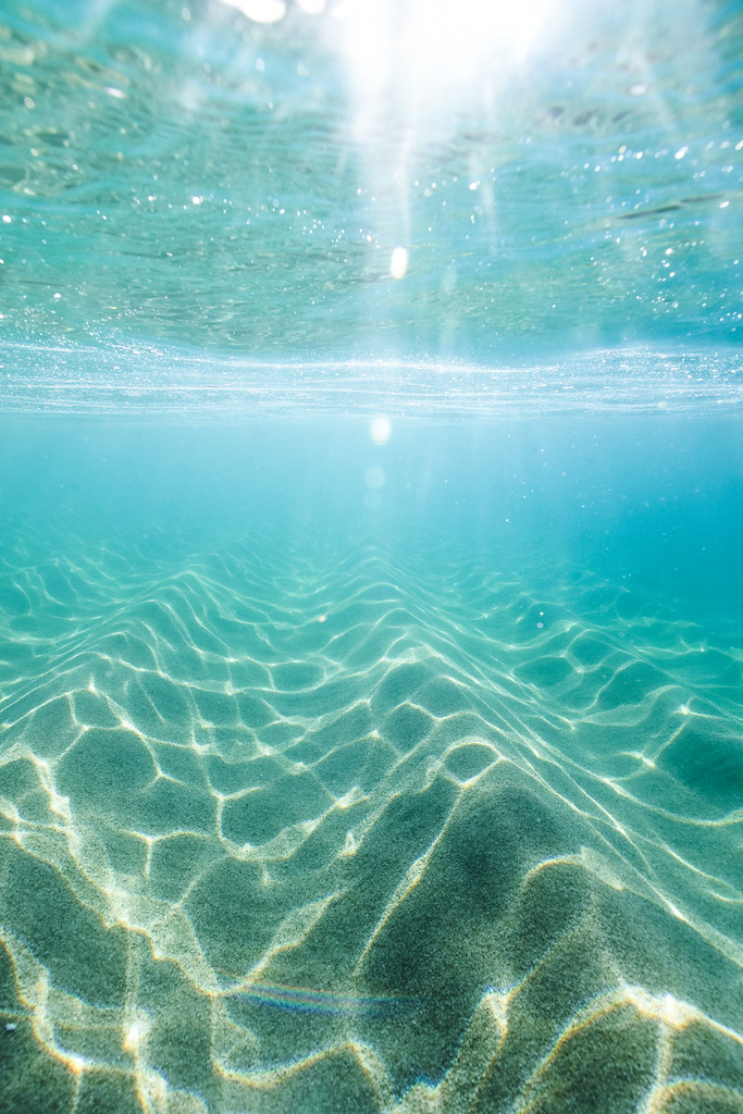 Underwater Scenes-2 | Jessica Kendall-Bar | Flickr