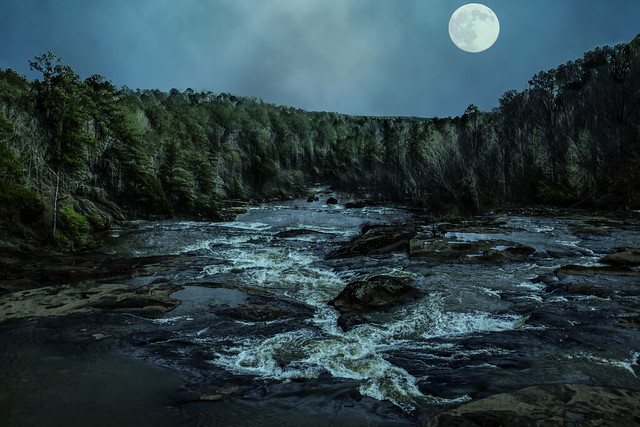 Misty Night in the Woods with a River Stream Under the Moon