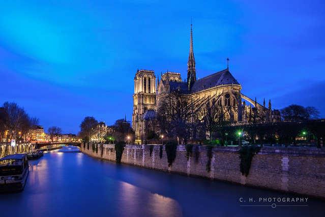 Notre Dame Blue - Paris, France