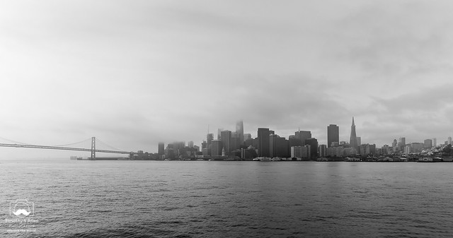 A Cityscape in Black and White