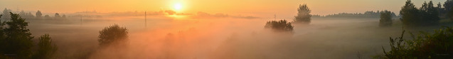 Autumn is here - foggy panorama