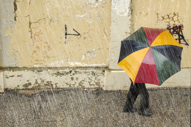 L'ombrello che cammina - Umbrella walking.