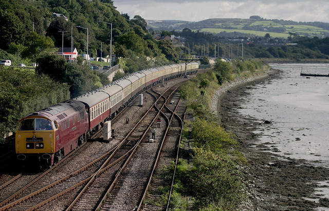 D1015 with the 1V59 at Laira