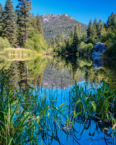 california trees mountain lake landscape unitedstates hemet idyllwild highdynamicrange lakefulmor sdosremedios size5x4 ©stevendosremedios