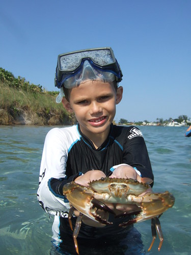 Sawyer catches a BIG swimming crab.