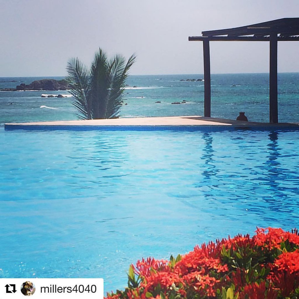 #Repost @millers4040 ・・・ Poolside with cocktails. #experia… | Flickr