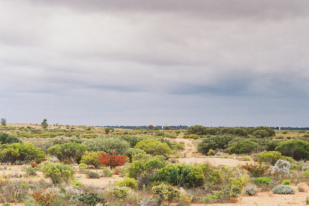 Maralinga - Atomic test site, South Australia