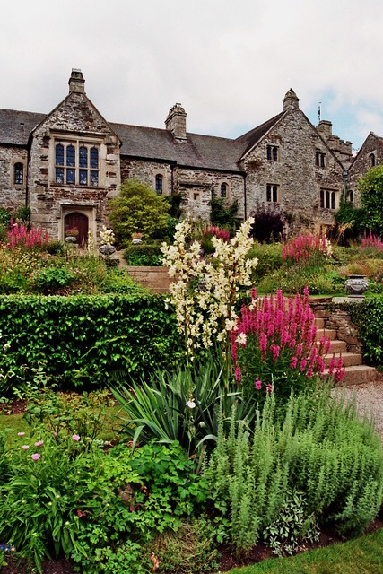 Terrasses des jardins de Cotehele House, Calstock, Cornouailles, Angleterre, Royaume-Uni