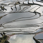 CHINA - Hani Rice Terraces