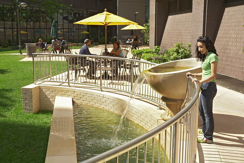 LIU BK Campus Fountain2