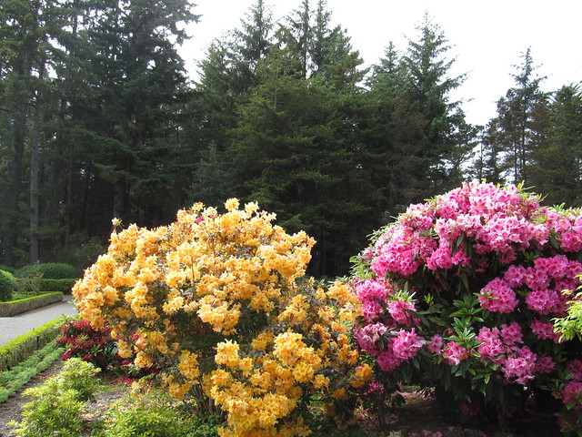 Gardens at Shore Acres State Park - Oregon