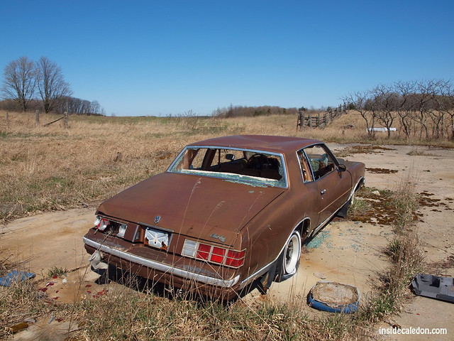 Abandoned Car - Chevrolet Monte Carlo