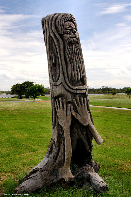 Biripi Country Wood Sculpture - Harrington Waters, Harrington, Mid North Coast, NSW