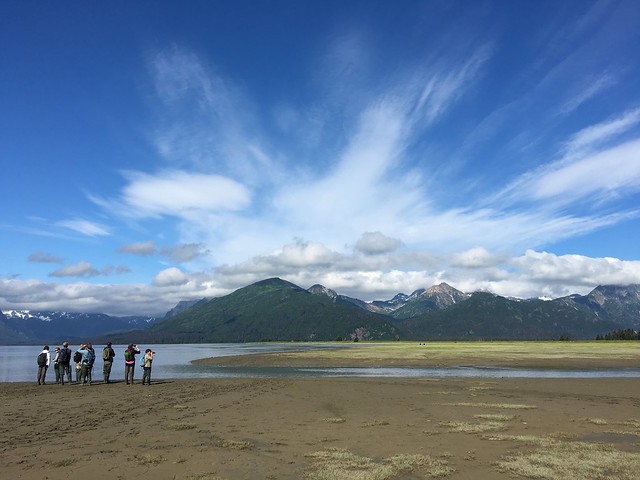 Bear Watching Lake Clark National Park & Preserve Katmai Alaska
