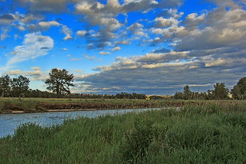 sunset summer sky nature water grass clouds canon river evening twilight day cloudy davidsmith fishcreekprovincialpark calgaryalbertacanada eos60d