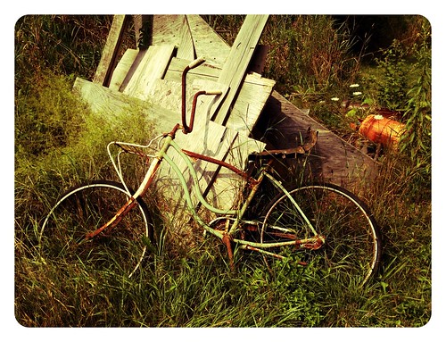 abandoned bike bicycle rust rusty
